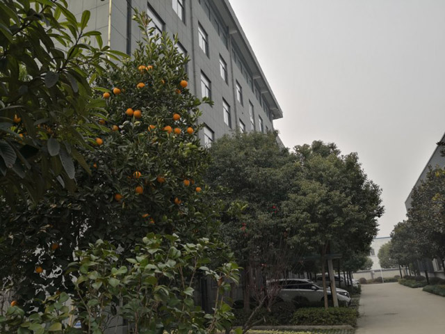 �S�^(q��)�h(hu��n)��